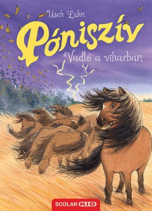 Póniszív - vadló a viharban Póniszív - vadló a viharban