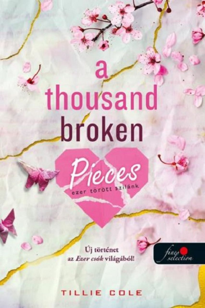 A thousand broken pieces - ezer törött szilánk A thousand broken pieces - ezer törött szilánk