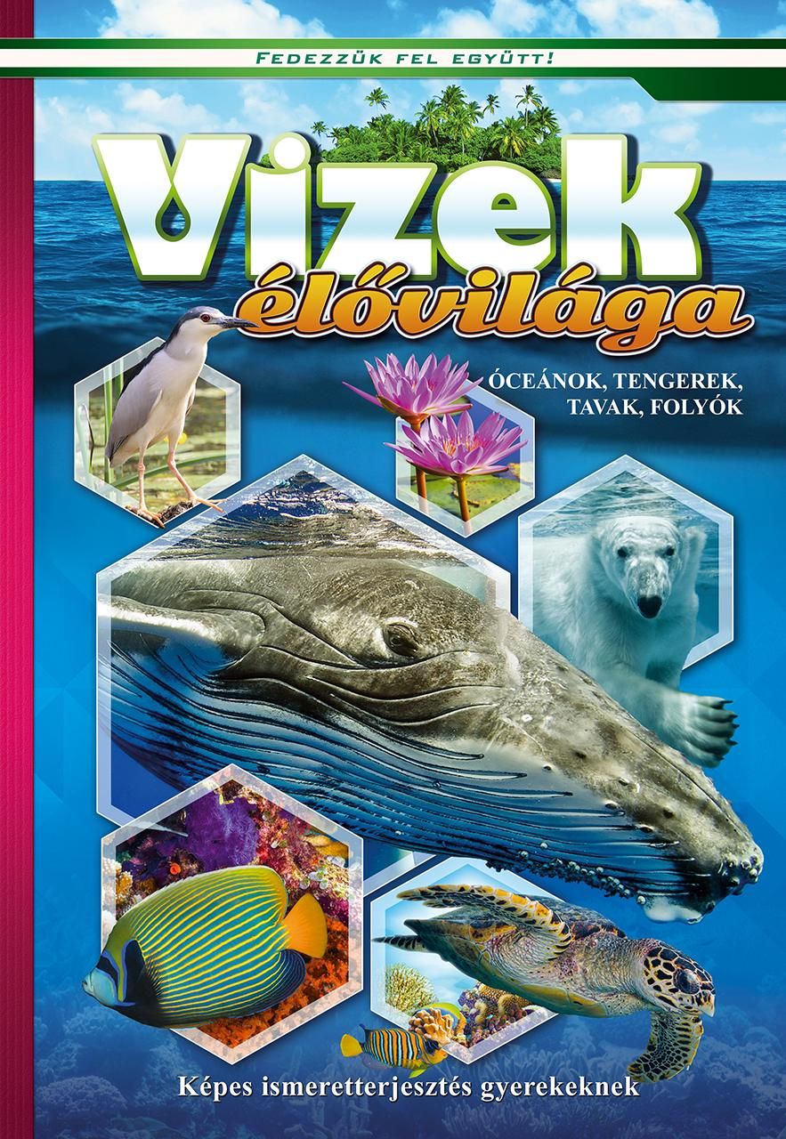 Vizek élővilága - óceánok, tengerek, tavak, folyók - fedezzük fel együtt! Vizek élővilága - óceánok, tengerek, tavak, folyók - fedezzük fel együtt!