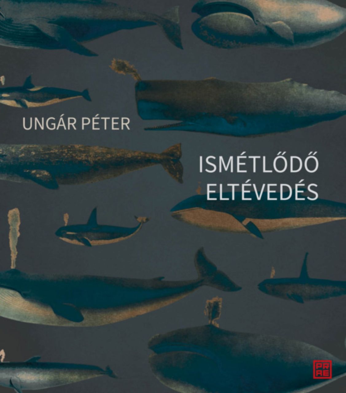Ismétlődő eltévedés Ismétlődő eltévedés