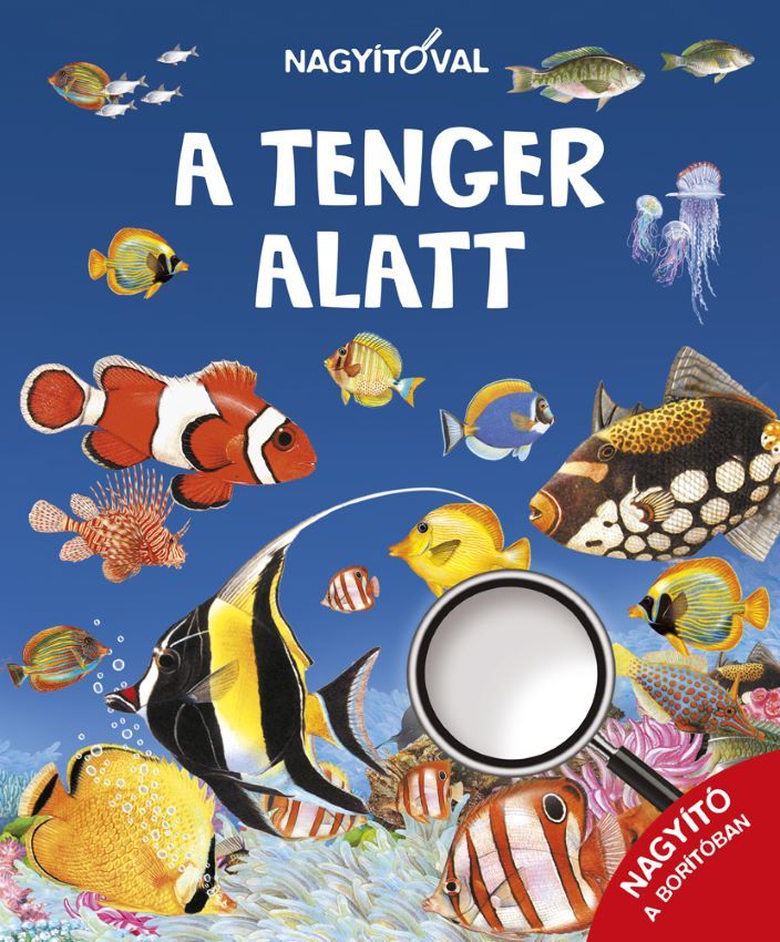 A tenger alatt - nagyítóval A tenger alatt - nagyítóval