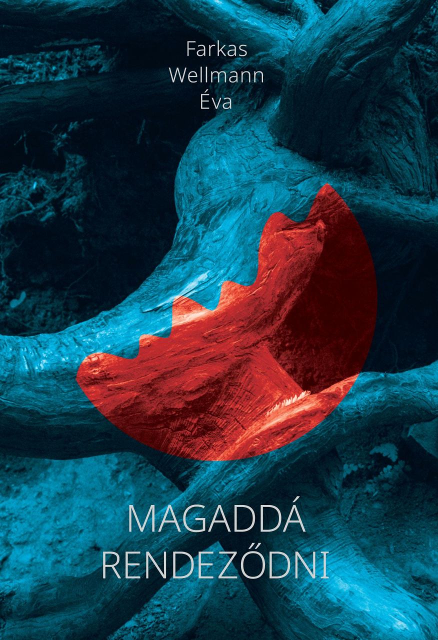Magaddá rendeződni Magaddá rendeződni